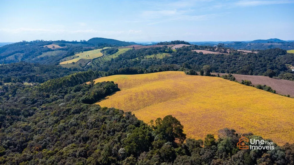 Terreno, 109 hectares - Foto 11