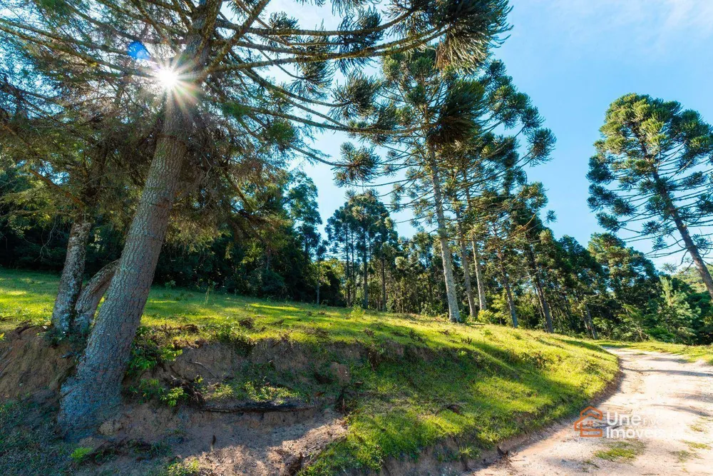 Terreno, 109 hectares - Foto 3