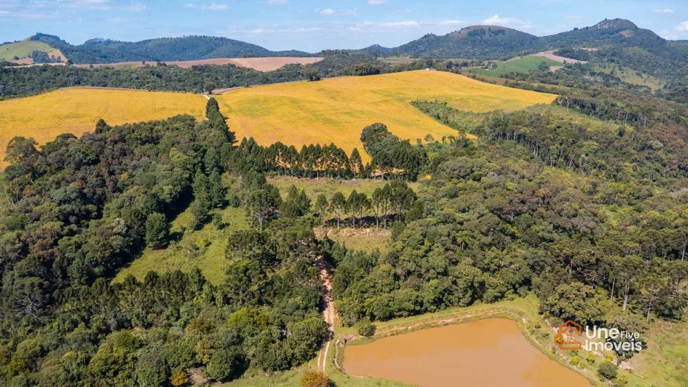 Terreno, 109 hectares - Foto 2