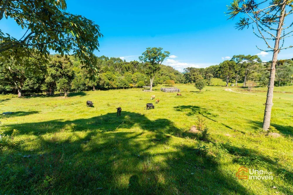 Terreno, 109 hectares - Foto 6