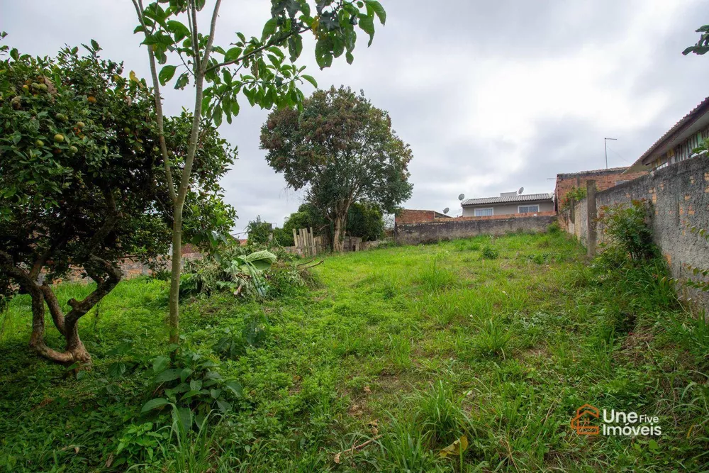 Terreno, 390 m² - Foto 3