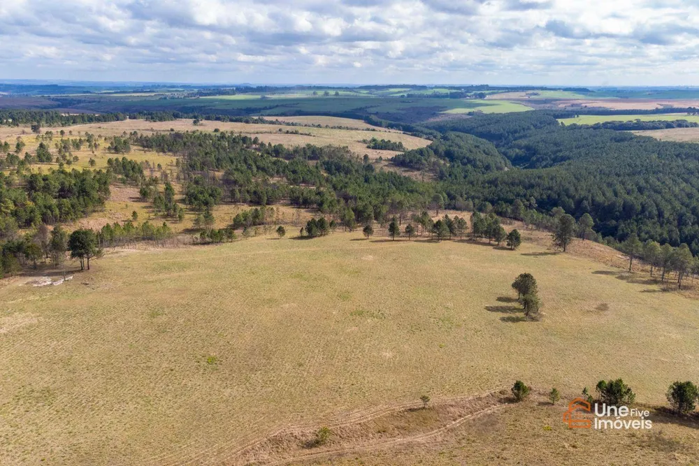 Terreno, 73 hectares - Foto 14