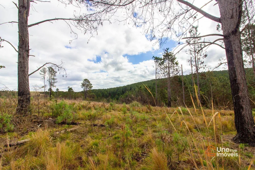 Terreno, 73 hectares - Foto 7