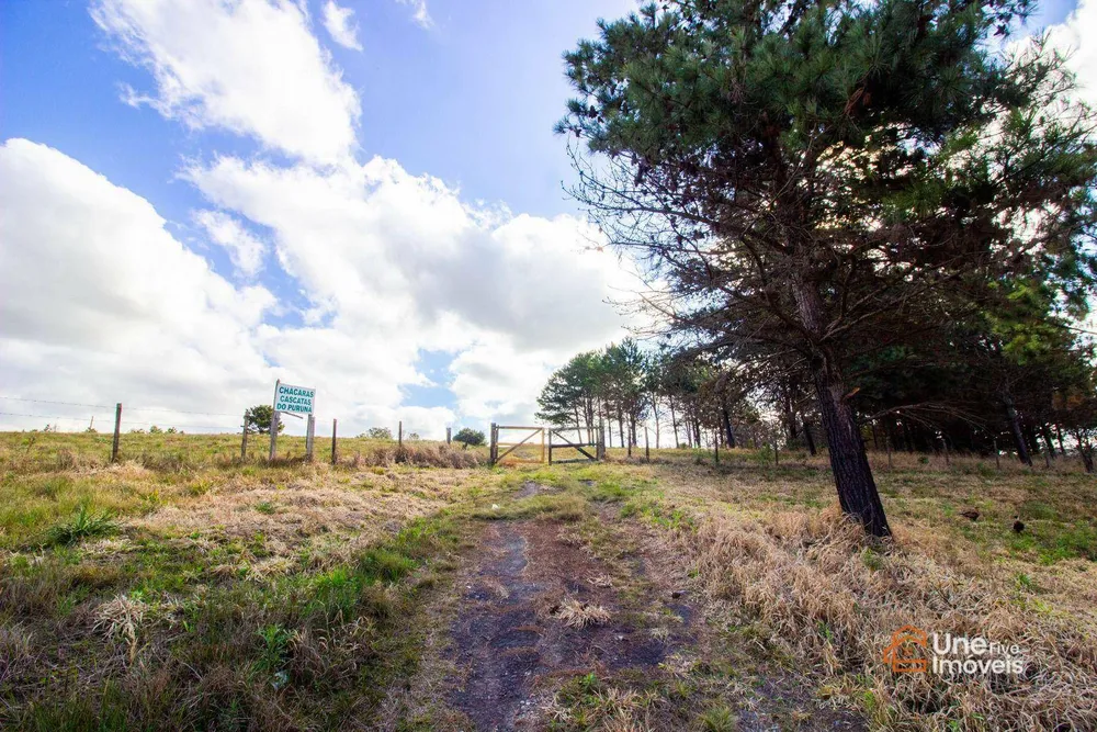 Terreno, 73 hectares - Foto 4
