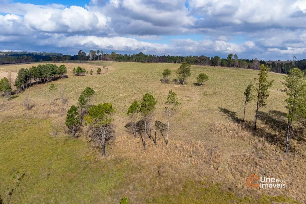 Terreno, 73 hectares - Foto 8