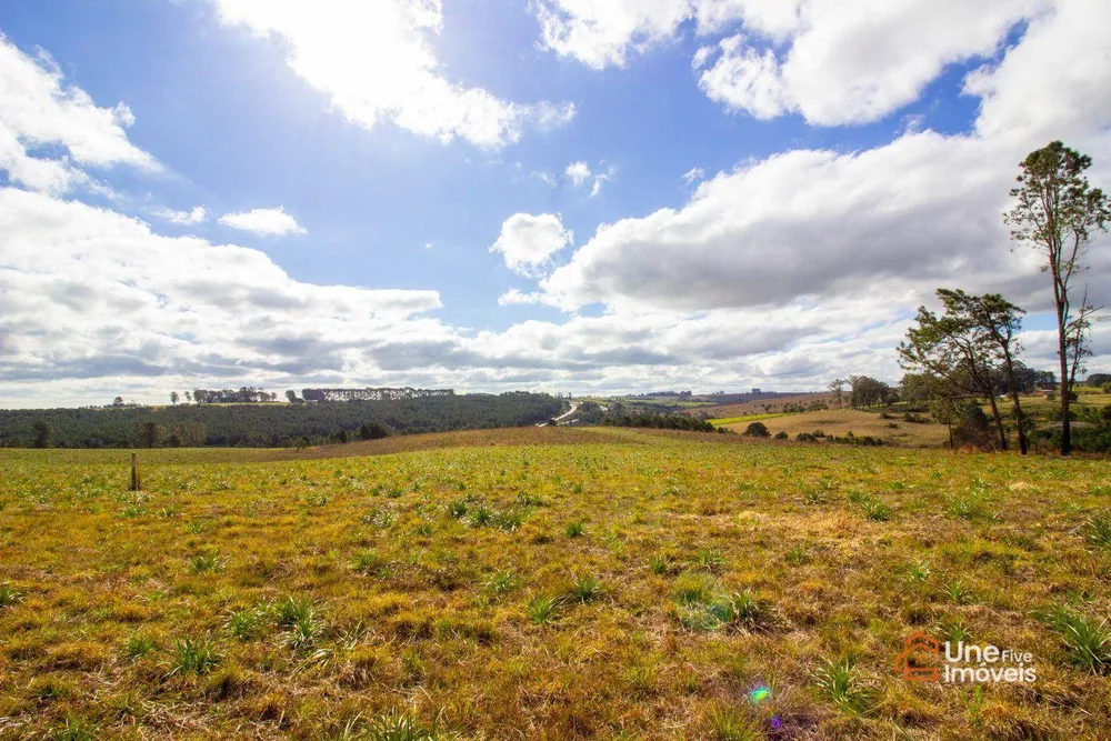 Terreno, 73 hectares - Foto 3