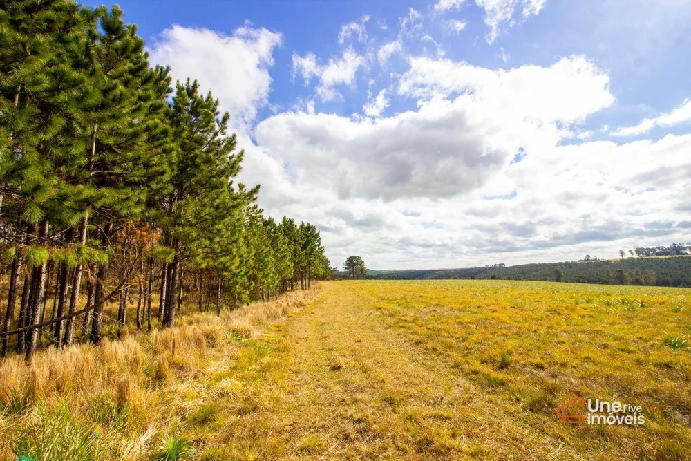 Terreno, 73 hectares - Foto 13