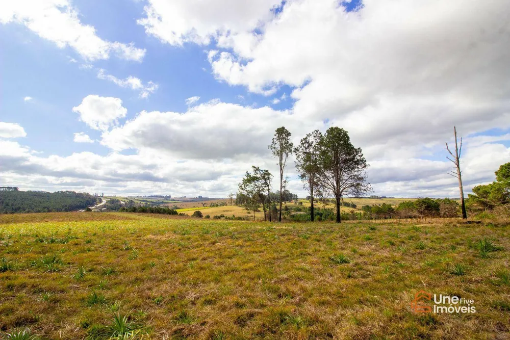 Terreno, 73 hectares - Foto 6