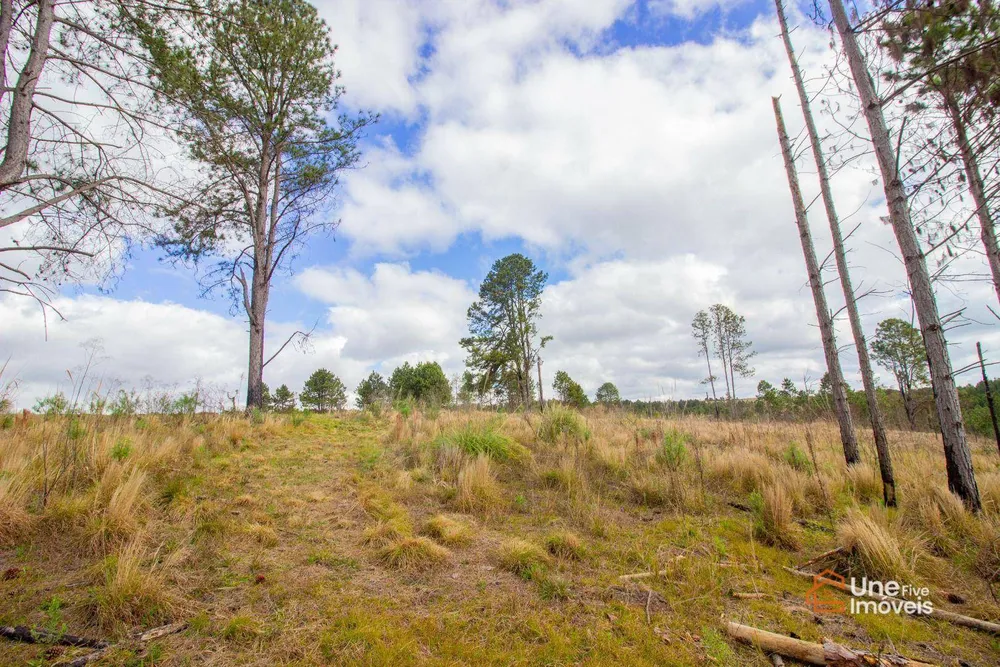 Terreno, 73 hectares - Foto 10
