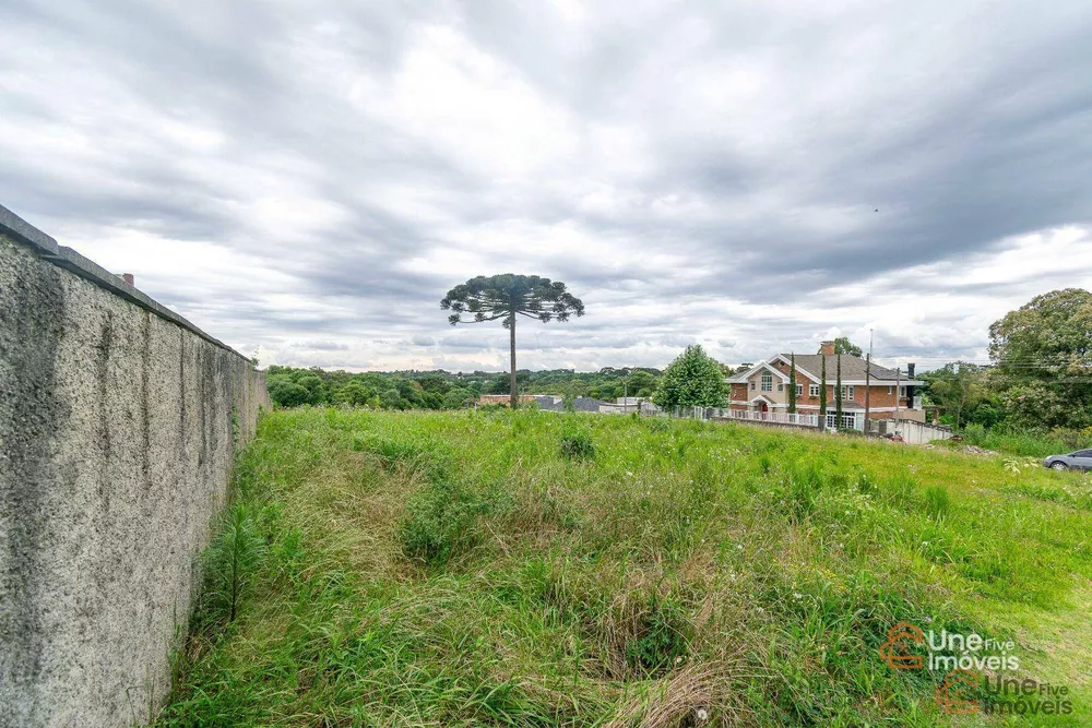 Loteamento e Condomínio, 6888 m² - Foto 4