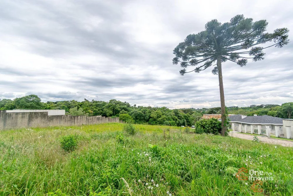 Loteamento e Condomínio, 6888 m² - Foto 2