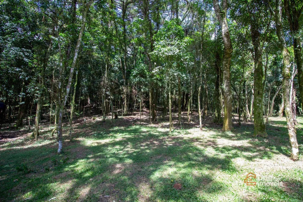 Chácara, 20 m² - Foto 2