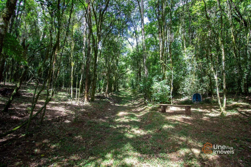 Chácara, 20 m² - Foto 3