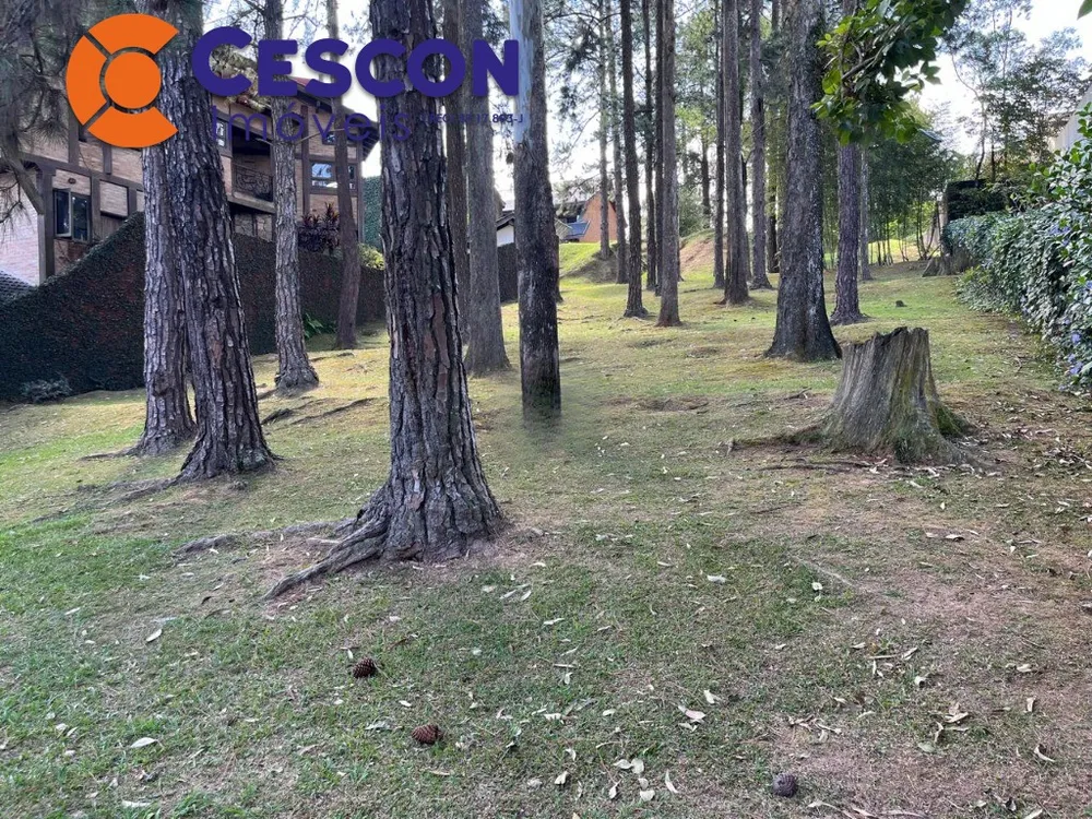 Terreno, 800 m² - Foto 1
