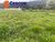 Terreno, 490 m² - Foto 12