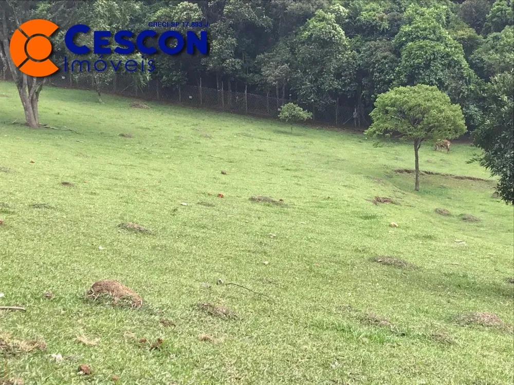 Chácara, 2 quartos, 3 hectares - Foto 12