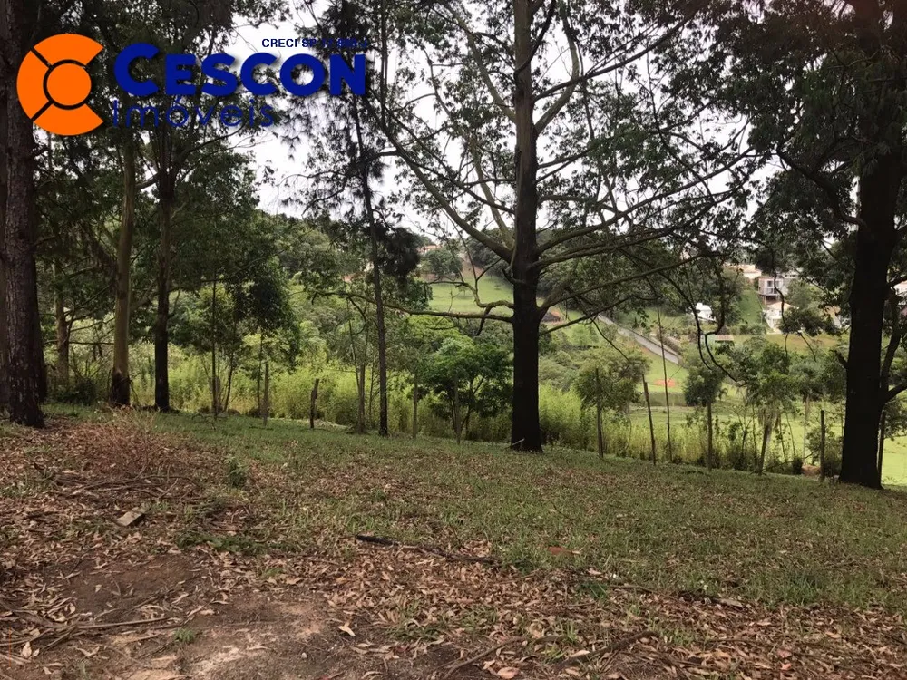 Chácara, 2 quartos, 3 hectares - Foto 4