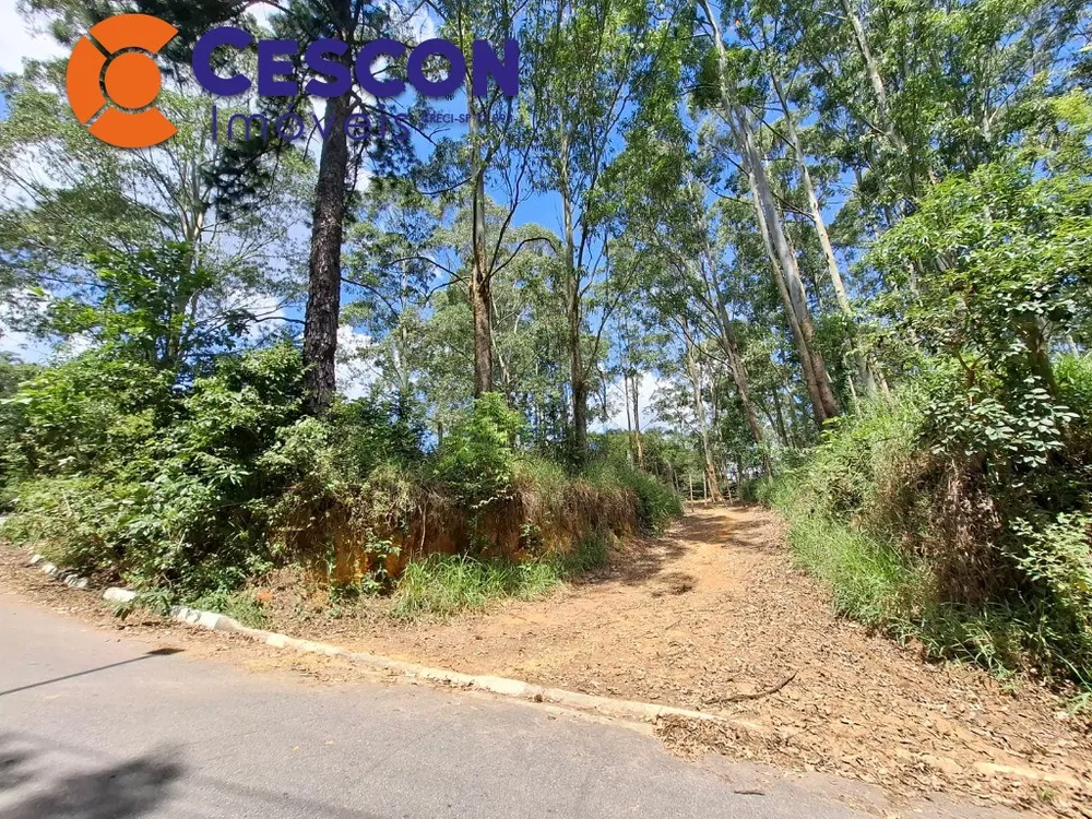 Terreno, 13386 m² - Foto 3