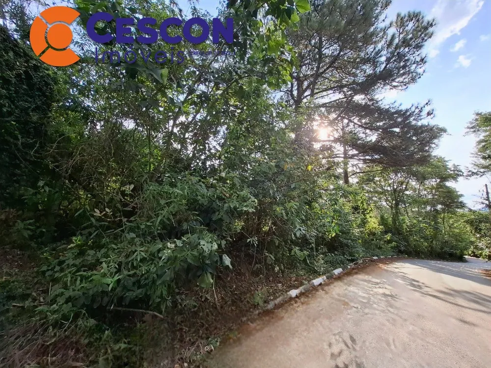Terreno, 13386 m² - Foto 6
