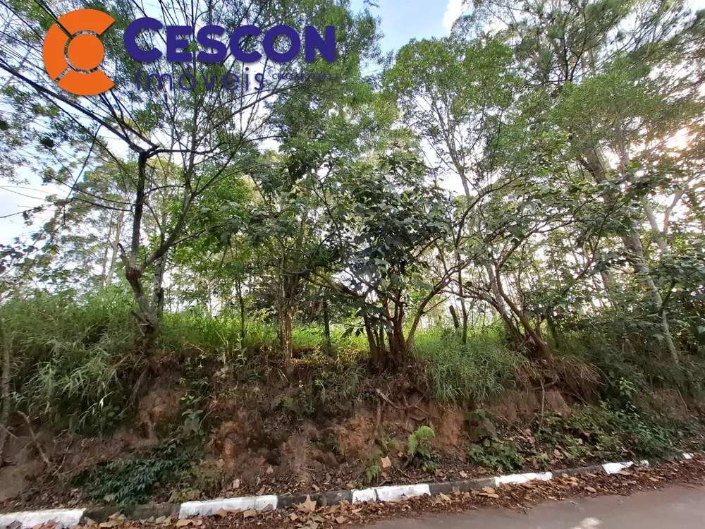 Terreno, 13386 m² - Foto 7