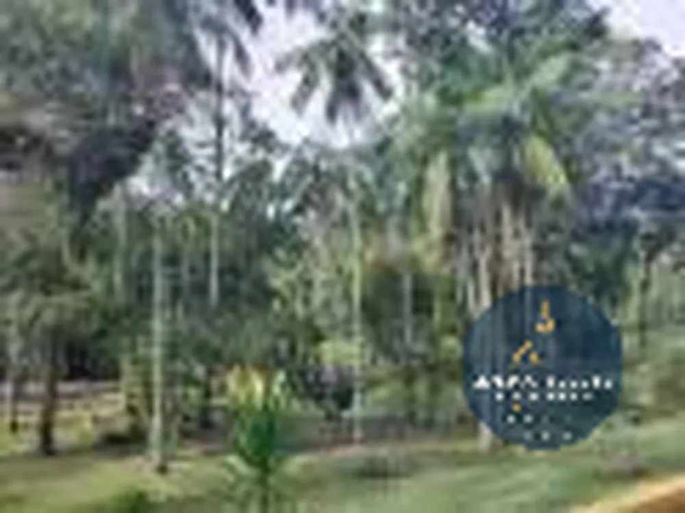 Sítio, 4 quartos, 4 hectares - Foto 11