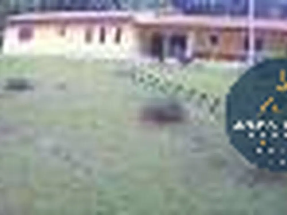 Sítio, 4 quartos, 4 hectares - Foto 4