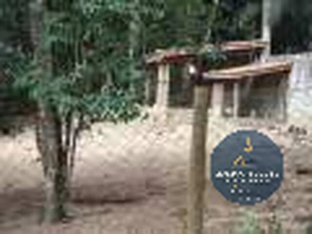 Sítio, 4 quartos, 4 hectares - Foto 7