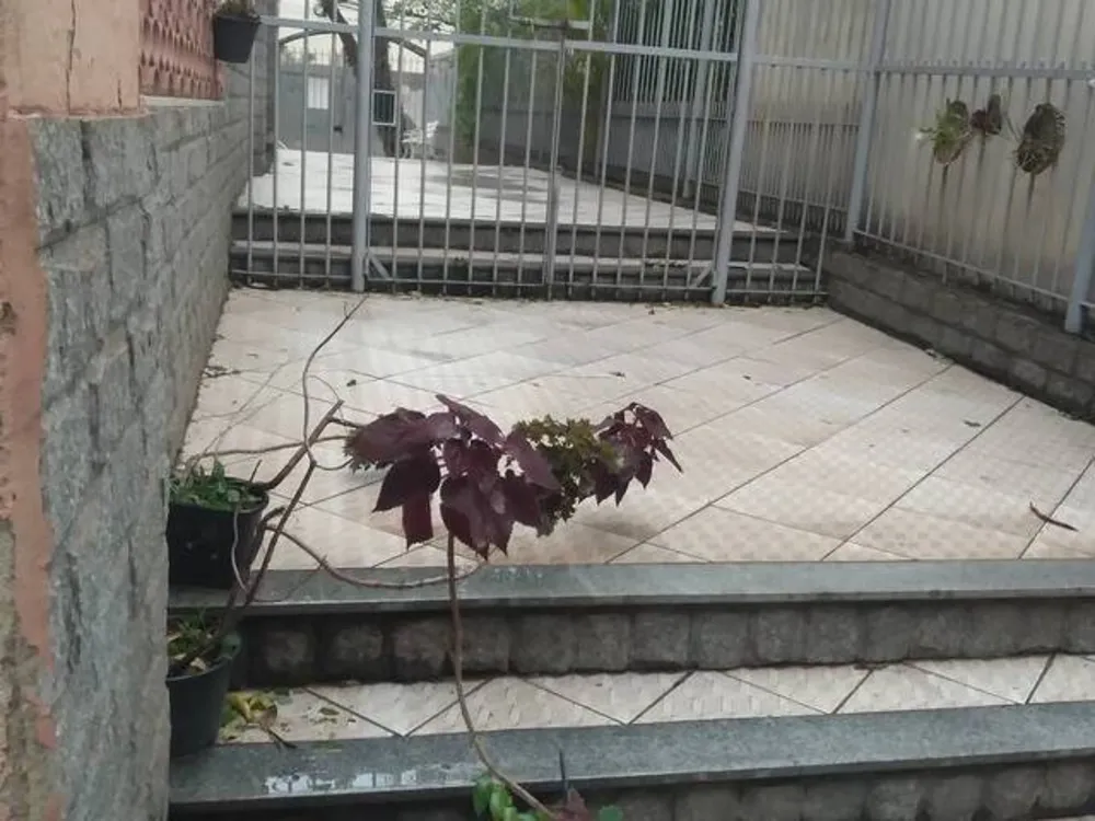Apartamento, 3 quartos, 64 m² - Foto 18