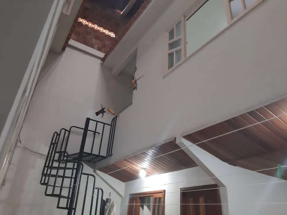 Casa, 4 quartos, 198 m² - Foto 27