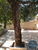 Casa, 6 quartos, 750 m² - Foto 21