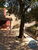 Casa, 6 quartos, 750 m² - Foto 27