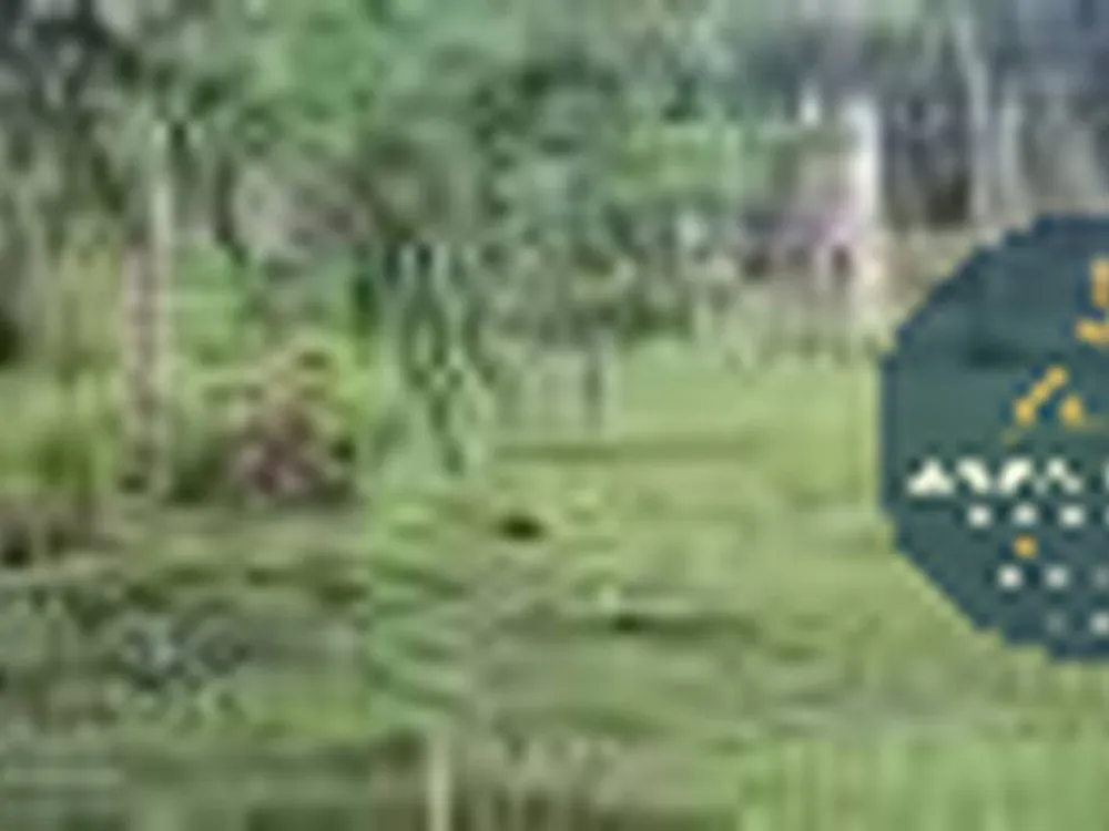 Sítio, 20 quartos, 22 hectares - Foto 1