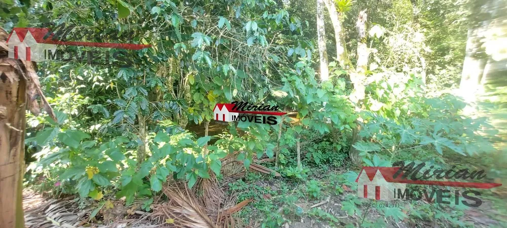 Chácara, 5 quartos - Foto 16