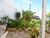 Casa, 3 quartos, 235 m² - Foto 12