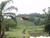 Fazenda, 97 hectares - Foto 4