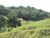 Fazenda, 97 hectares - Foto 1