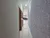 Casa, 2 quartos, 82 m² - Foto 26