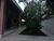 Casa, 4 quartos, 291 m² - Foto 8