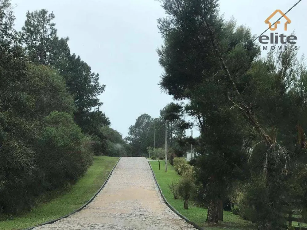 Terreno, 2800 m² - Foto 5