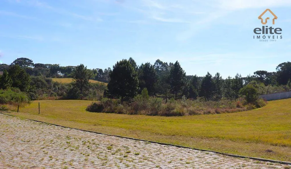 Terreno, 2800 m² - Foto 7