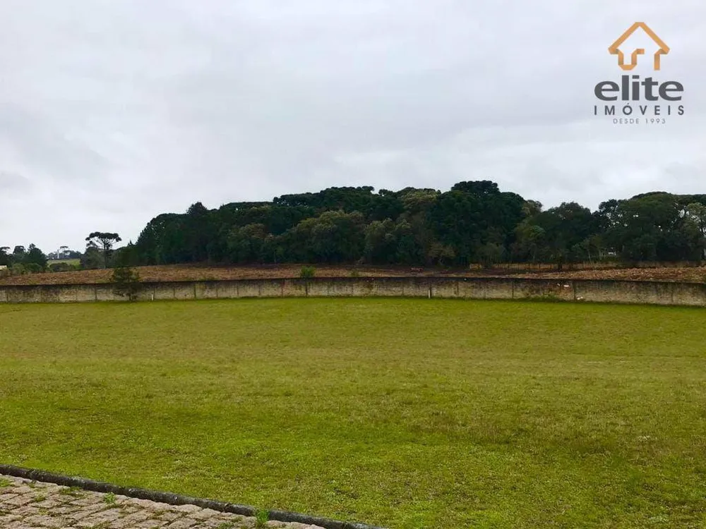 Terreno, 2800 m² - Foto 6