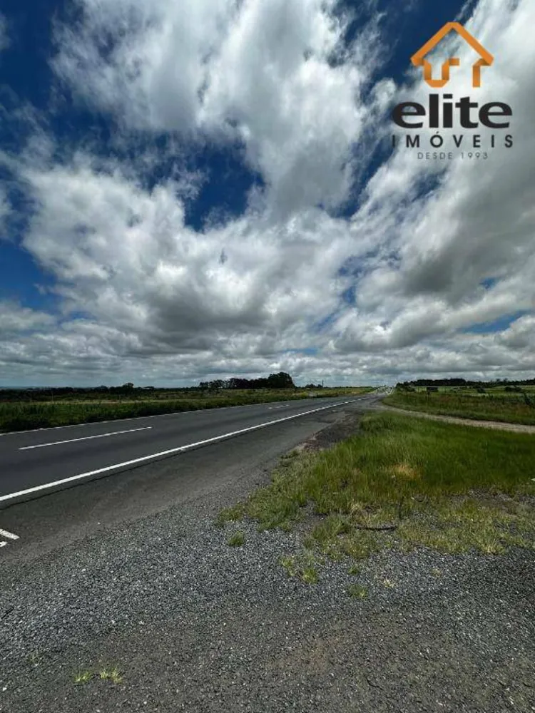 Terreno, 5 hectares - Foto 8