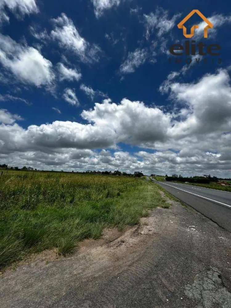 Terreno, 5 hectares - Foto 11