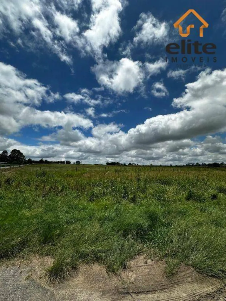 Terreno, 5 hectares - Foto 3