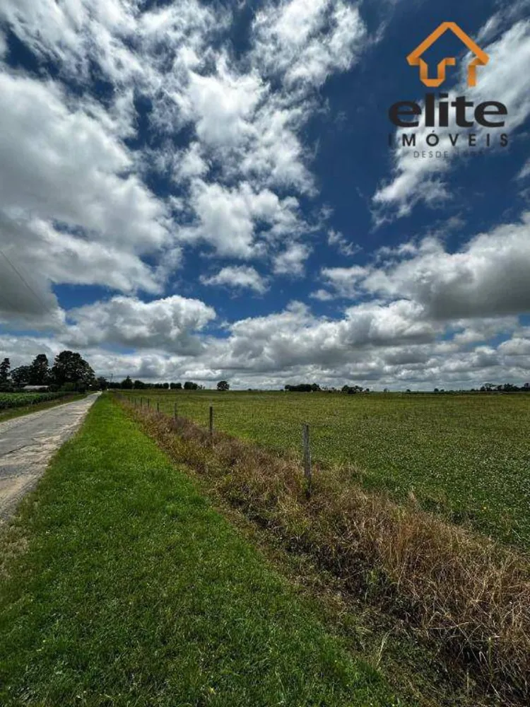 Terreno, 5 hectares - Foto 6