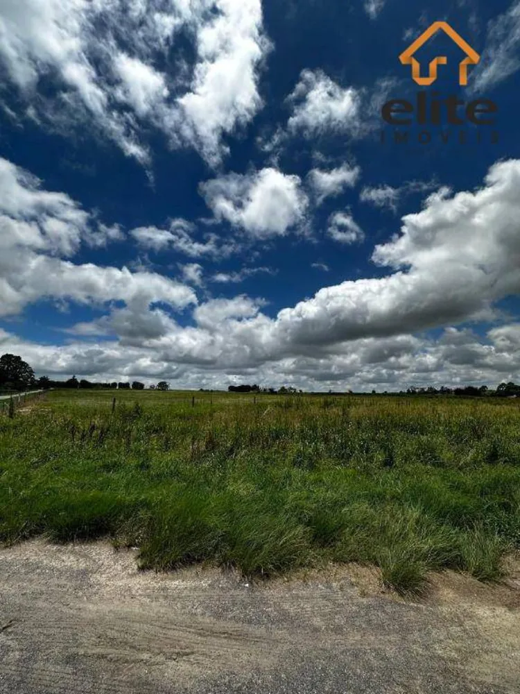 Terreno, 5 hectares - Foto 9