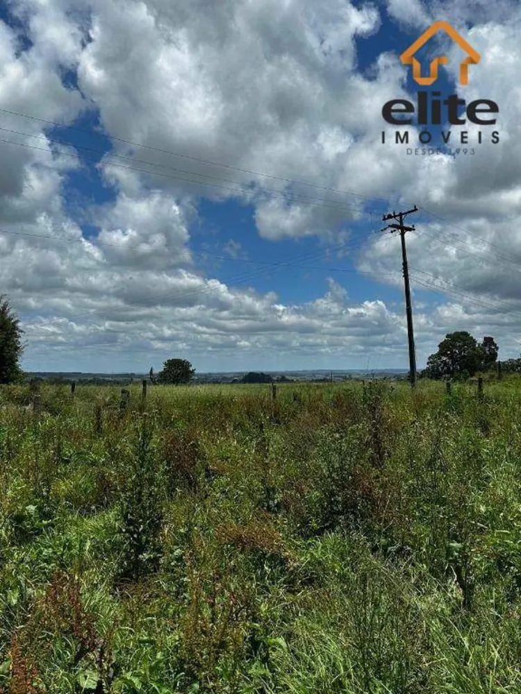 Terreno, 5 hectares - Foto 1