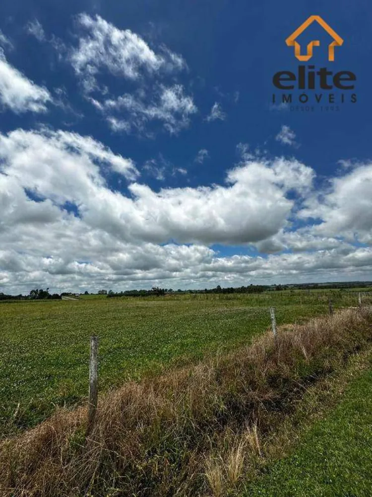 Terreno, 5 hectares - Foto 2