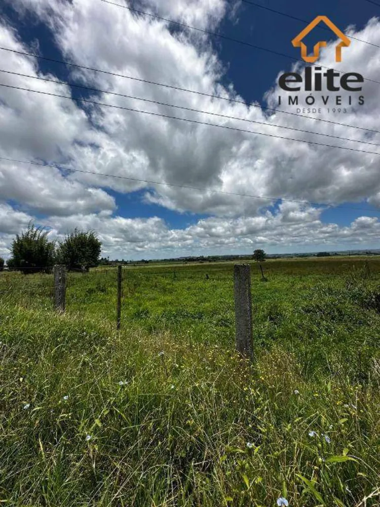 Terreno, 5 hectares - Foto 7
