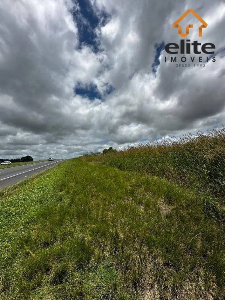 Terreno, 5 hectares - Foto 4